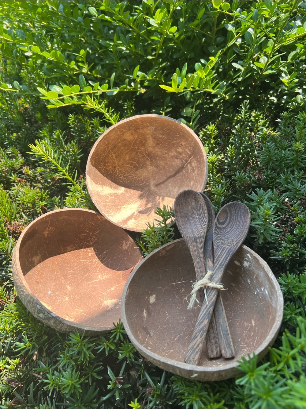 Natural Coconut Shell Bowl Set with Wooden Spoons boho chic anthropologie